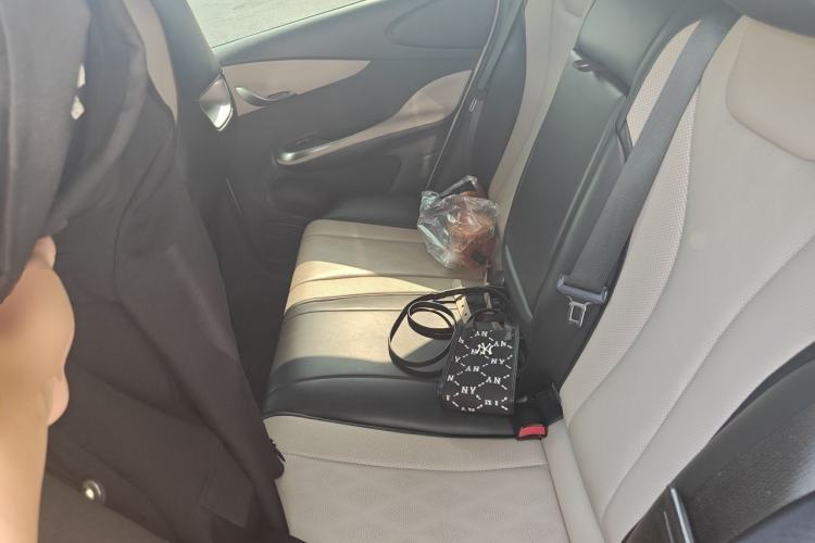Used BYD Dolphin 2024 Honor Edition 420km Fashion Version Left Rear Seat