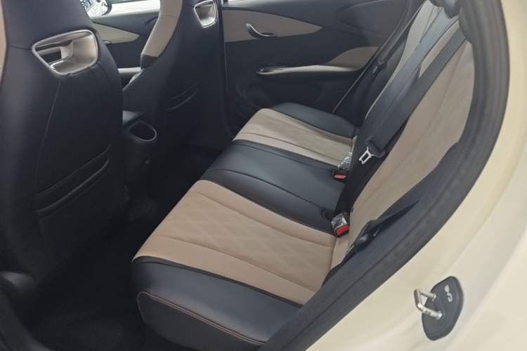 Used BYD Dolphin 2024 Honor Edition 420km Freedom Version Left Rear Seat