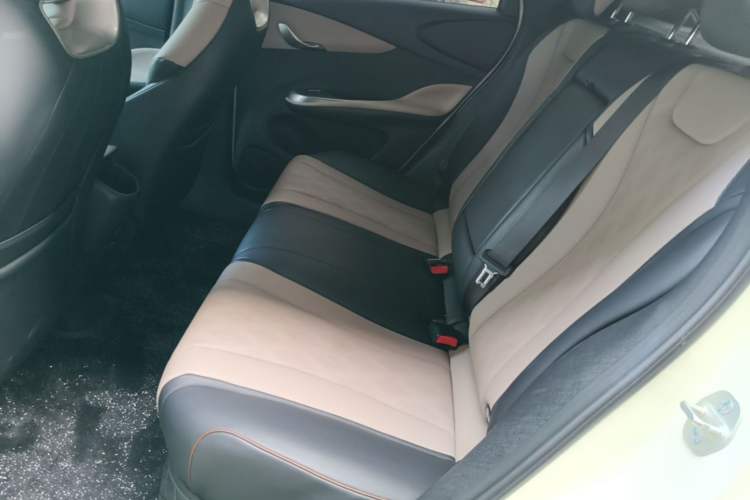 Used BYD Dolphin 2024 Honor Edition 420km Freedom Version Left Rear Seat