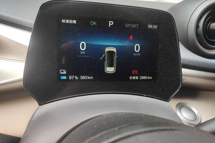 Used BYD Dolphin 2024 Honor Edition 420km Freedom Version Odometer Close Up