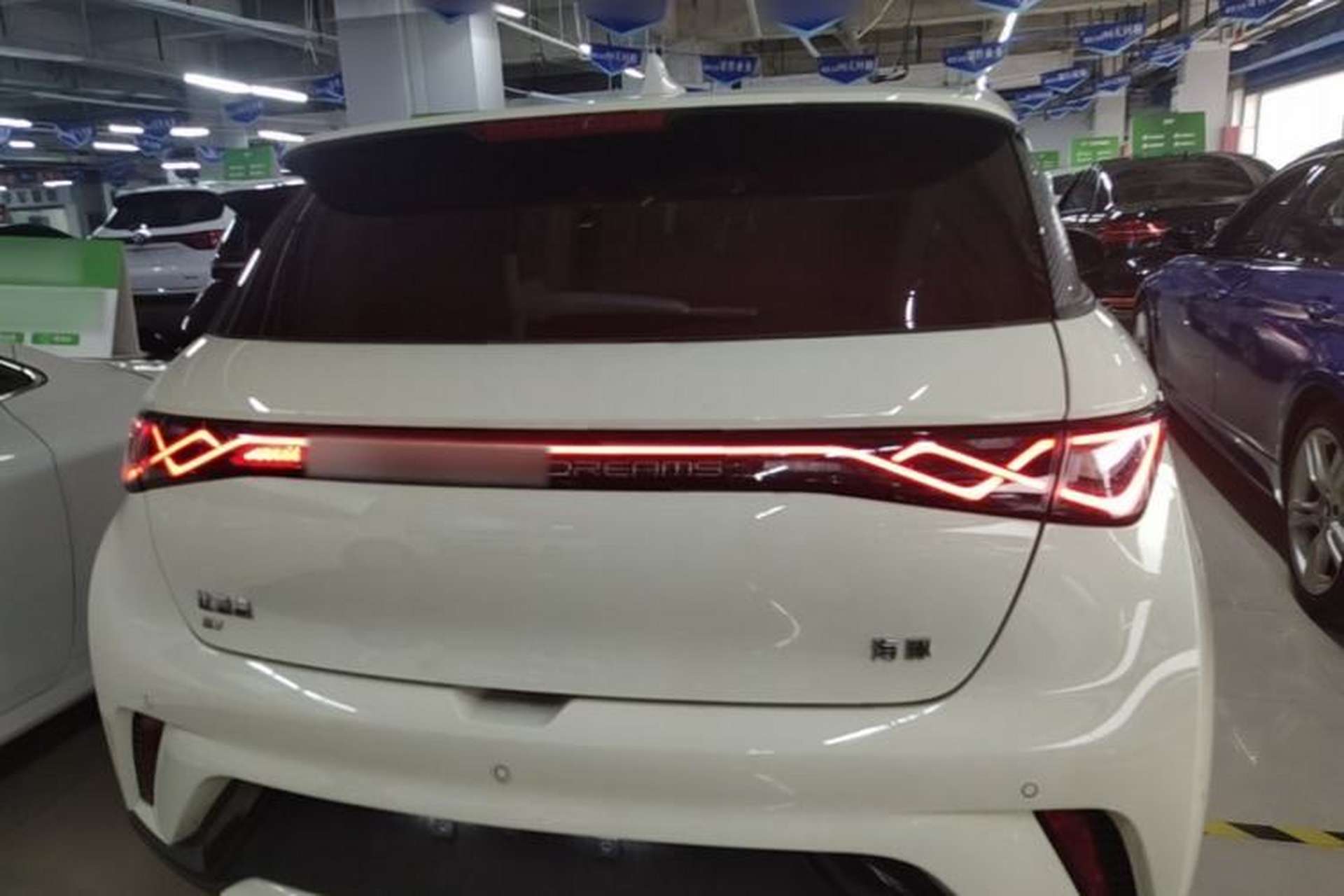 Used BYD Dolphin 2024 Honor Edition 420km Fashion Version Rear
