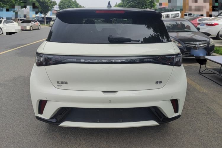 Used BYD Dolphin 2024 Honor Edition 420km Fashion Version Rear