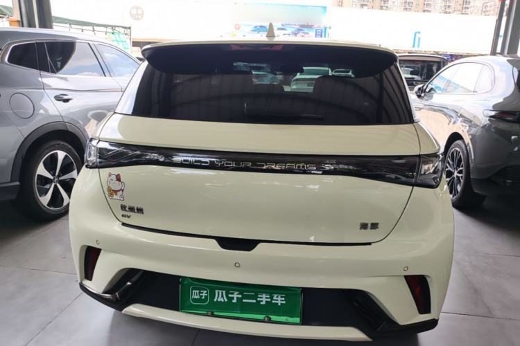 Used BYD Dolphin 2024 Honor Edition 420km Fashion Version Rear