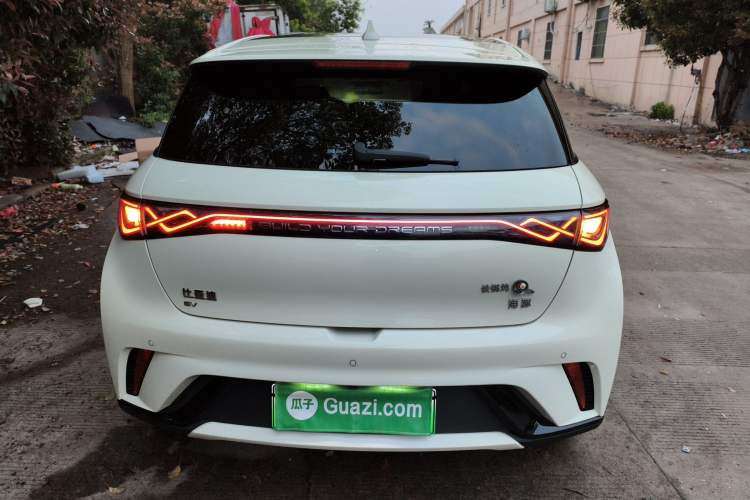 Used BYD Dolphin 2024 Honor Edition 420km Fashion Version Rear