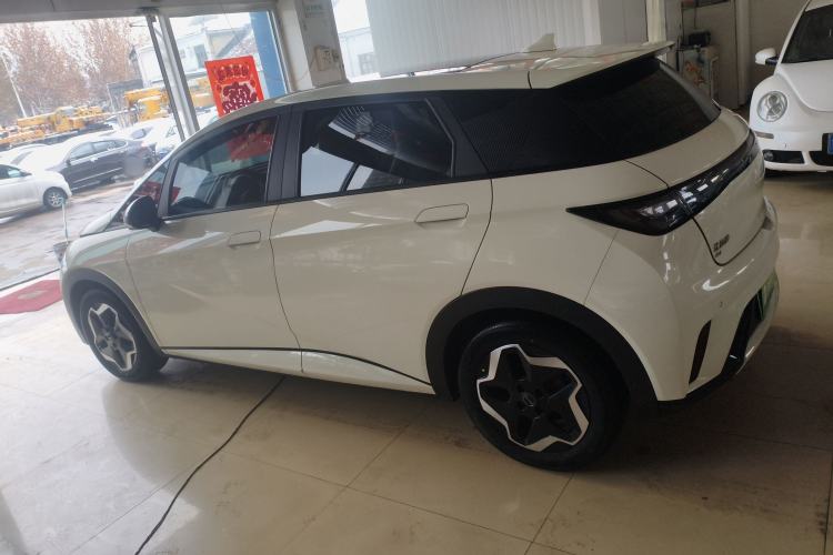 Used BYD Dolphin 2024 Honor Edition 302km Dynamic Version Rear Left 45 Deg