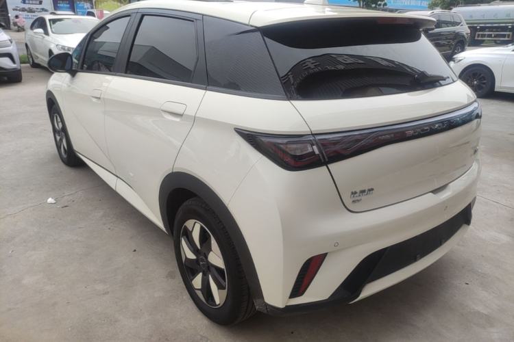 Used BYD Dolphin 2024 Honor Edition 420km Fashion Version Rear Left 45 Deg