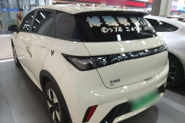 Used BYD Dolphin 2024 Honor Edition 420km Freedom Version Rear Left 45 Deg