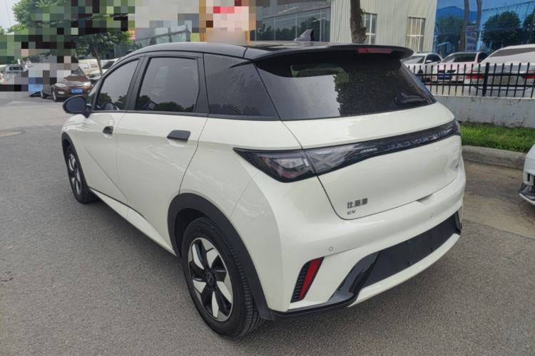 Used BYD Dolphin 2024 Honor Edition 420km Fashion Version Rear Left 45 Deg