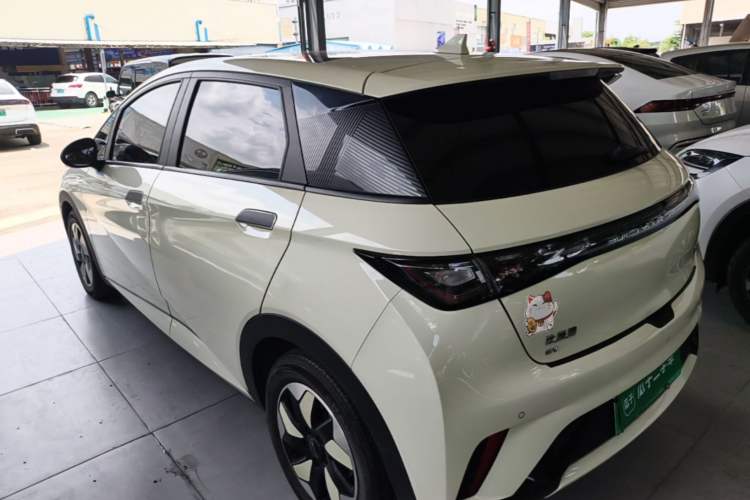 Used BYD Dolphin 2024 Honor Edition 420km Fashion Version Rear Left 45 Deg