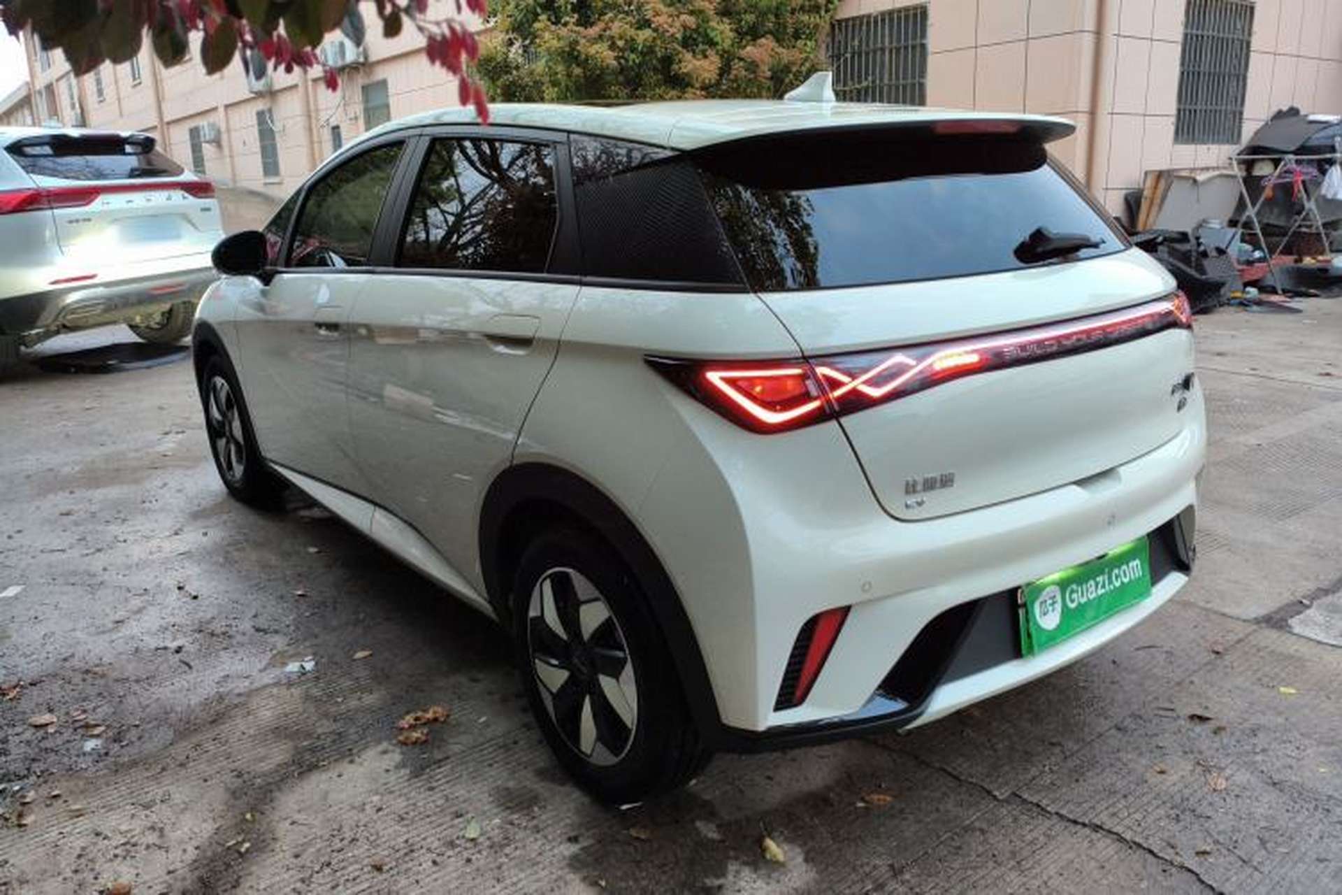 Used BYD Dolphin 2024 Honor Edition 420km Fashion Version Rear Left 45 Deg