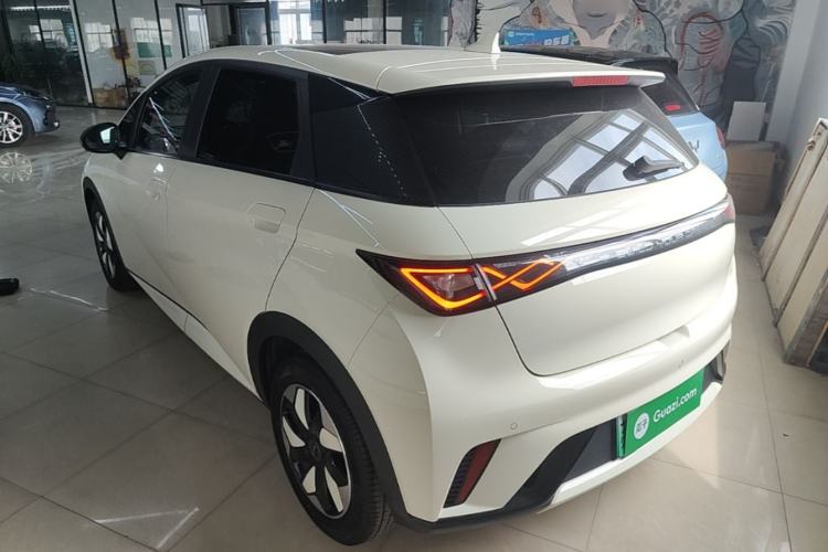 Used BYD Dolphin 2024 Honor Edition 420km Fashion Version Rear Left 45 Deg