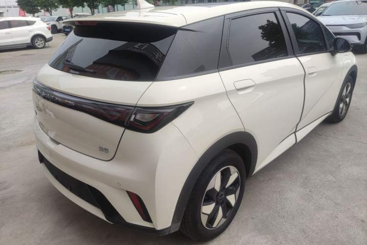 Used BYD Dolphin 2024 Honor Edition 420km Fashion Version Rear Right 45 Deg