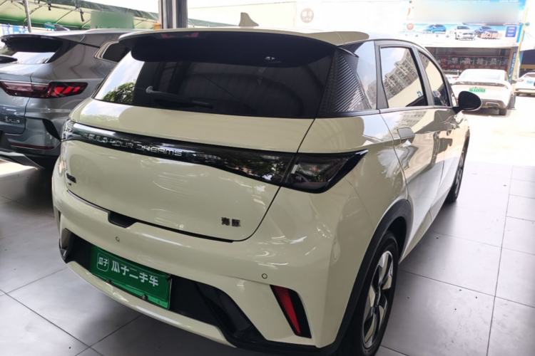 Used BYD Dolphin 2024 Honor Edition 420km Fashion Version Rear Right 45 Deg