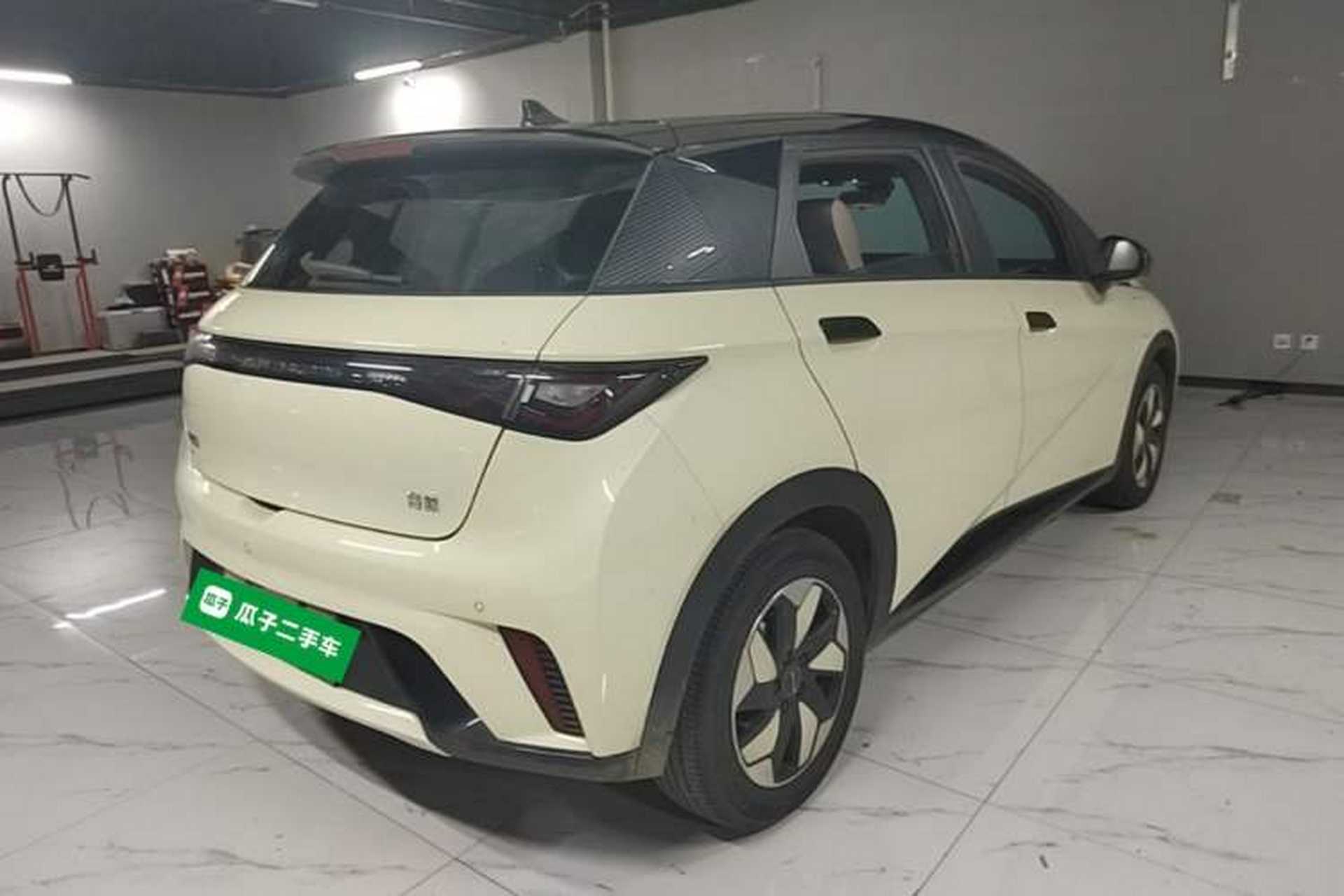 Used BYD Dolphin 2024 Honor Edition 420km Fashion Version Rear Right 45 Deg