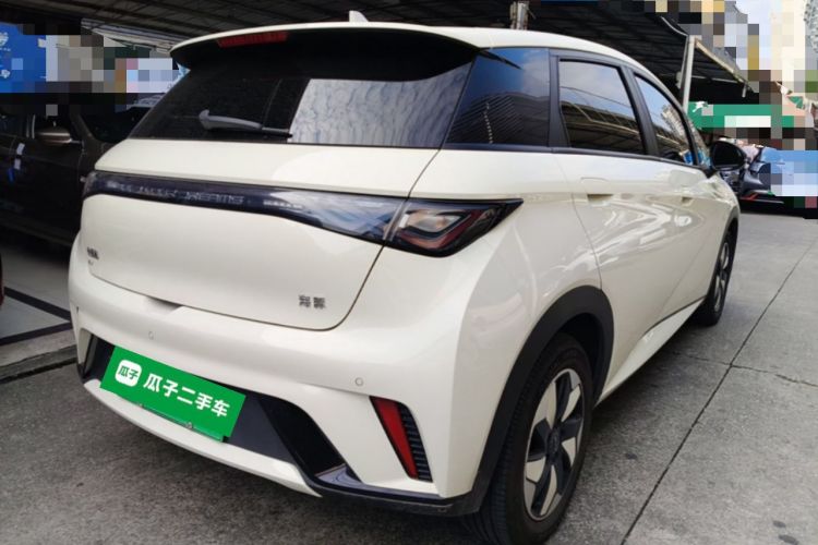 Used BYD Dolphin 2024 Honor Edition 420km Freedom Version Rear Right 45 Deg