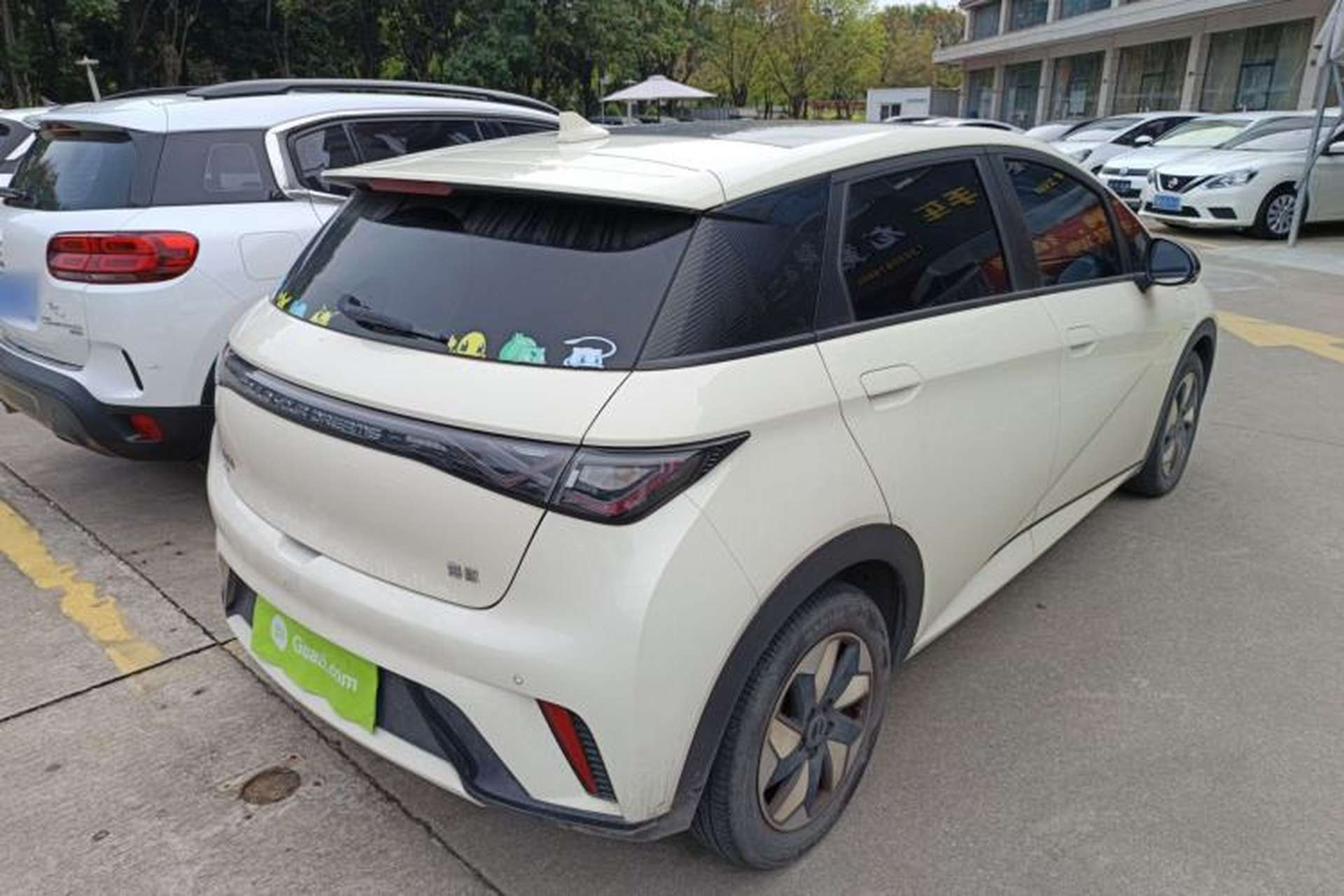 Used BYD Dolphin 2024 Honor Edition 420km Fashion Version Rear Right 45 Deg