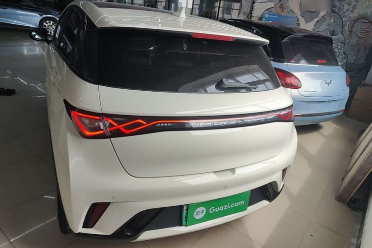Used BYD Dolphin 2024 Honor Edition 420km Fashion Version Rear