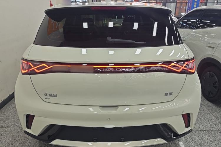 Used BYD Dolphin 2024 Honor Edition 420km Freedom Version Rear