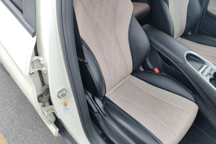 Used BYD Dolphin 2024 Honor Edition 420km Freedom Version Right Front Seat