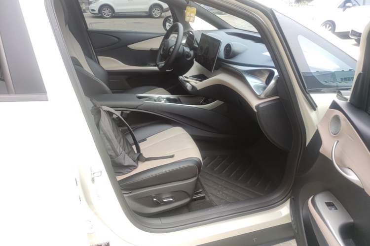 Used BYD Dolphin 2024 Honor Edition 420km Fashion Version Right Front Seat