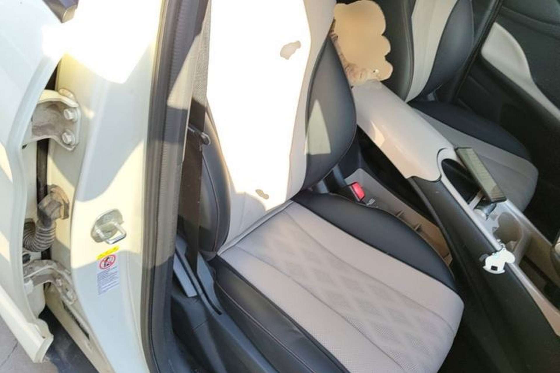 Used BYD Dolphin 2024 Honor Edition 420km Freedom Version Right Front Seat
