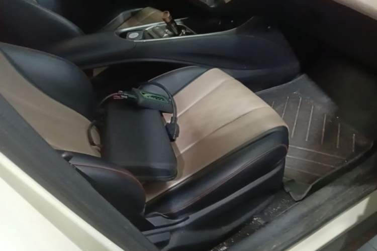Used BYD Dolphin 2024 Honor Edition 420km Freedom Version Right Front Seat