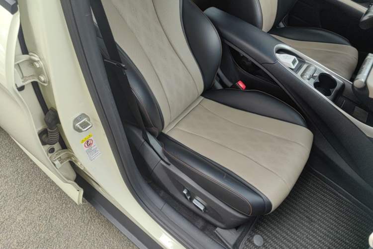 Used BYD Dolphin 2024 Honor Edition 420km Fashion Version Right Front Seat