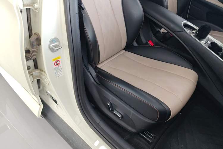 Used BYD Dolphin 2024 Honor Edition 420km Fashion Version Right Front Seat