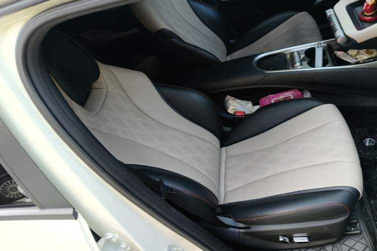 Used BYD Dolphin 2024 Honor Edition 420km Freedom Version Right Front Seat