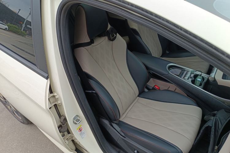 Used BYD Dolphin 2024 Honor Edition 420km Fashion Version Right Front Seat