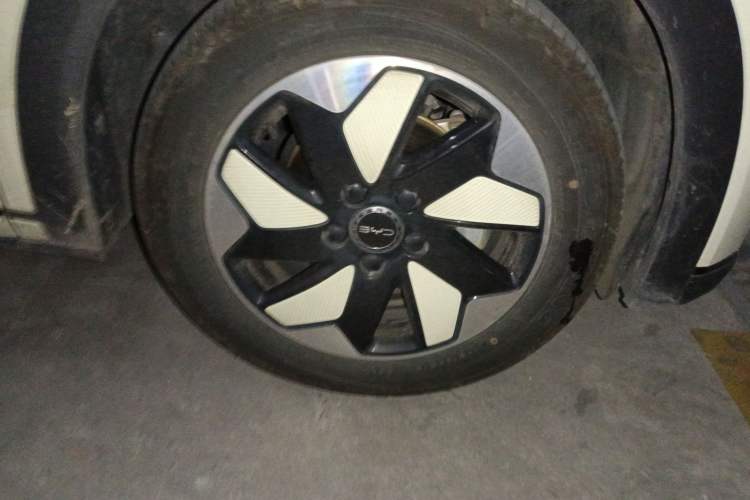 Used BYD Dolphin 2024 Honor Edition 420km Fashion Version Right Front Wheel Hub