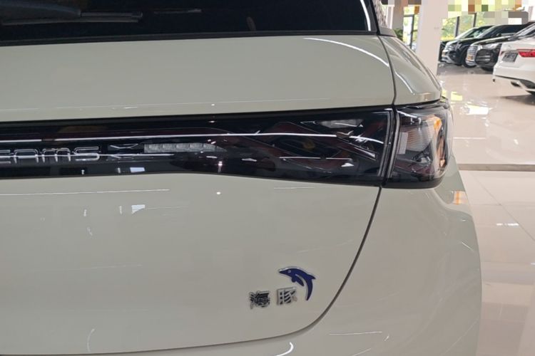 Used BYD Dolphin 2024 Honor Edition 420km Freedom Version Right Rear Taillight