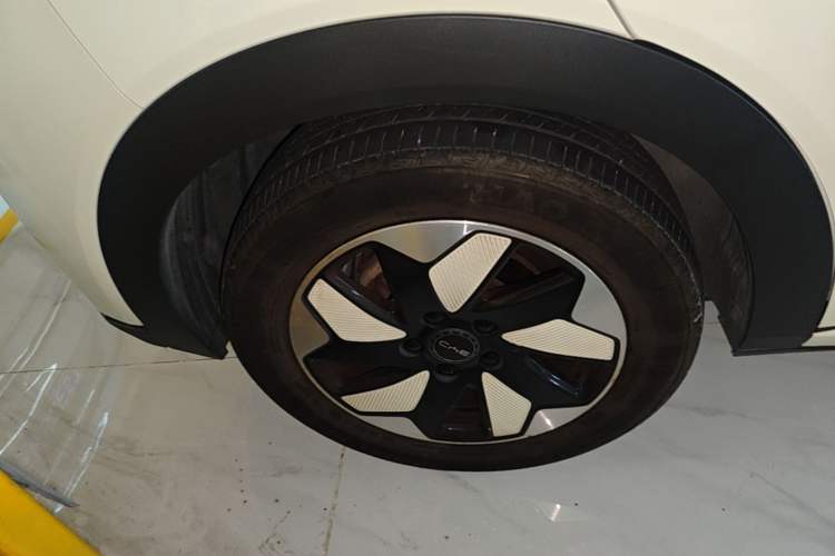 Used BYD Dolphin 2024 Honor Edition 420km Fashion Version Right Rear Wheel Hub