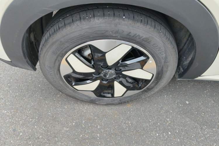 Used BYD Dolphin 2024 Honor Edition 420km Freedom Version Right Rear Wheel Hub