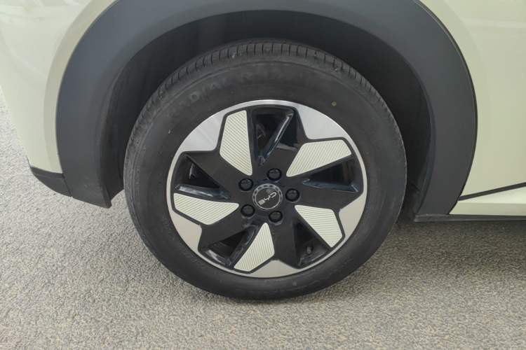 Used BYD Dolphin 2024 Honor Edition 420km Fashion Version Right Rear Wheel Hub