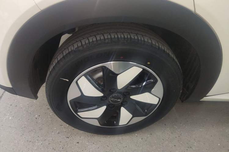 Used BYD Dolphin 2024 Honor Edition 420km Freedom Version Right Rear Wheel Hub
