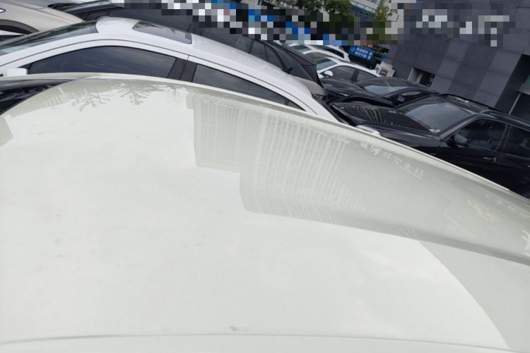Used BYD Dolphin 2024 Honor Edition 420km Freedom Version Roof
