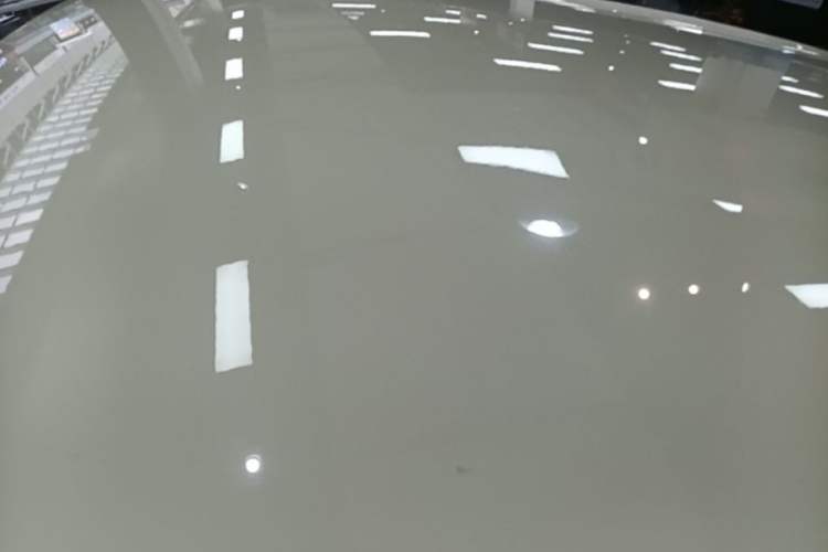 Used BYD Dolphin 2024 Honor Edition 420km Freedom Version Roof