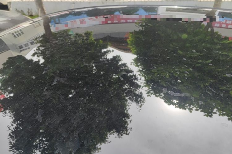Used BYD Dolphin 2024 Honor Edition 420km Fashion Version Roof