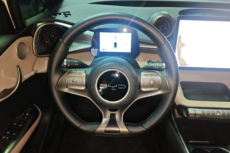 Used BYD Dolphin 2024 Honor Edition 420km Fashion Version Steering Wheel