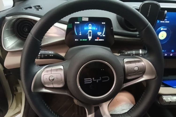 Used BYD Dolphin 2024 Honor Edition 420km Freedom Version Steering Wheel