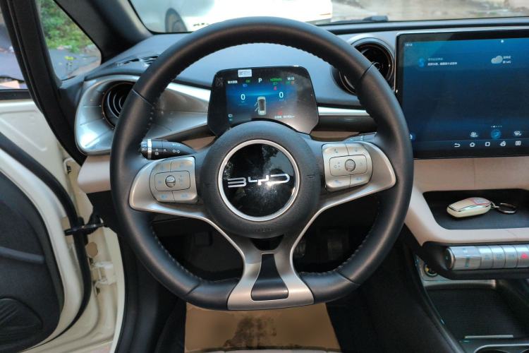 Used BYD Dolphin 2024 Honor Edition 420km Fashion Version Steering Wheel