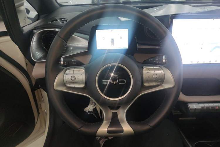 Used BYD Dolphin 2024 Honor Edition 420km Freedom Version Steering Wheel