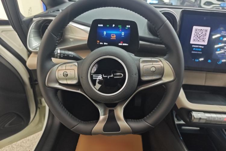 Used BYD Dolphin 2024 Honor Edition 420km Freedom Version Steering Wheel