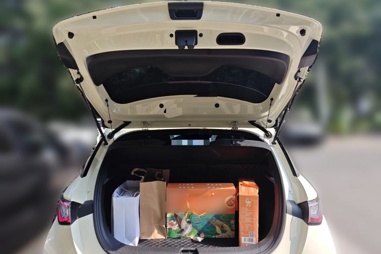 Used BYD Dolphin 2024 Honor Edition 420km Fashion Version Trunk