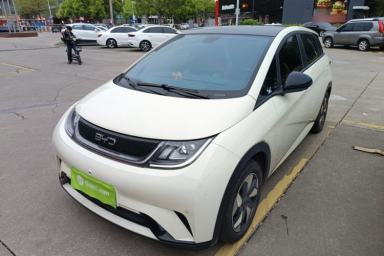 Used BYD Dolphin 2024 Honor Edition 420km Fashion Version