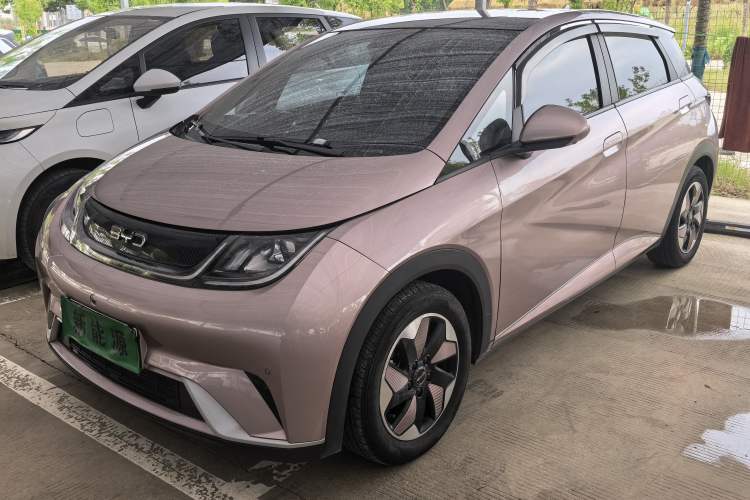 BYD Dolphin 2024 Honor Edition 420km Fashion Version