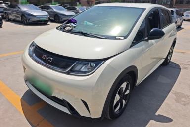 Used BYD Dolphin 2024 Honor Edition 420km Freedom Version