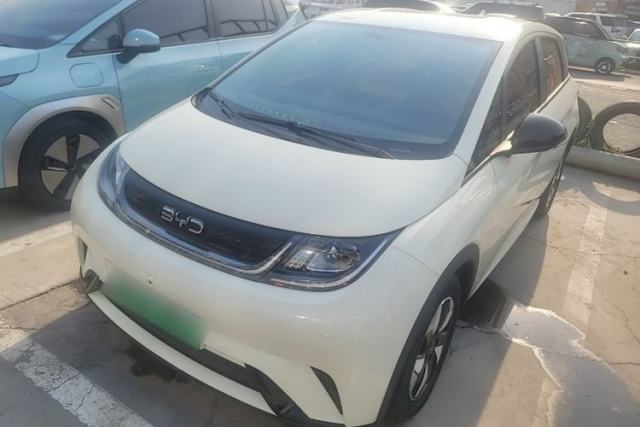 Used BYD Dolphin 2024 Honor Edition 420km Freedom Version