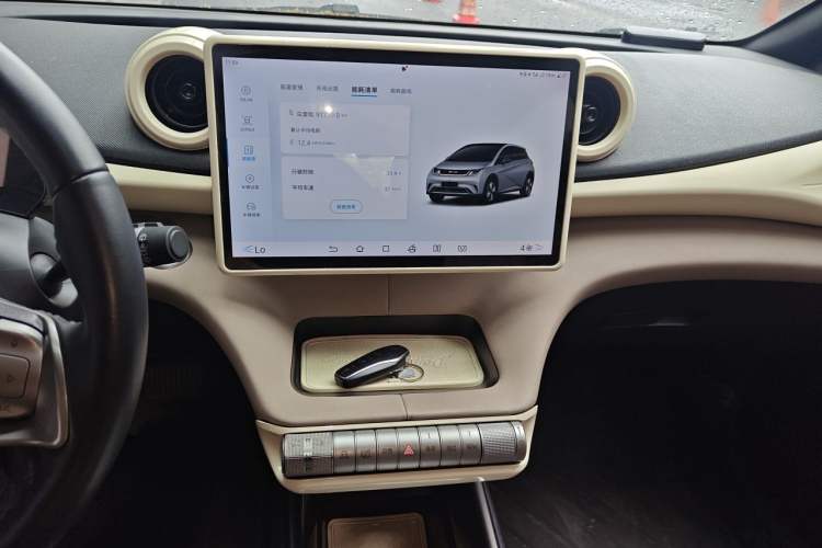 Used BYD Dolphin 2024 Honor Edition 420km Freedom Version Audio And AC Panel